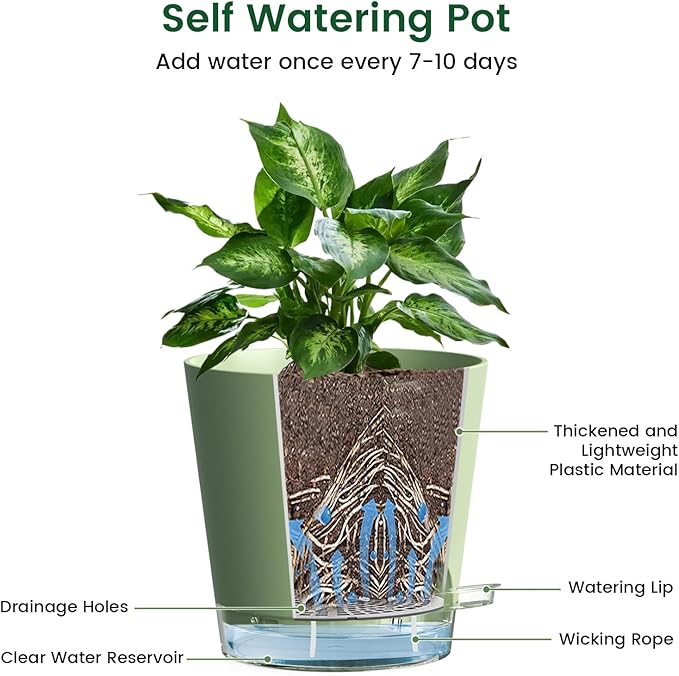 6 inch Self Watering Pots for Indoor Outdoor Plants, 6 Pack Flower Plant Pots with Drainage Holes and Clear Reservoirs, Visible Water Level, Plastic Planters with Wicking Rope, Green Meowell