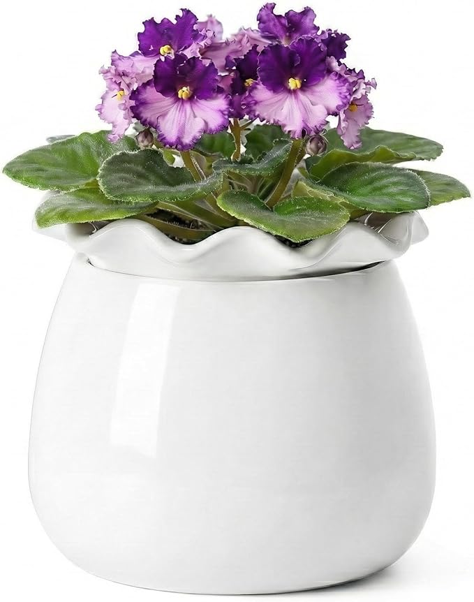 Self Watering Plant Pot, 6 Inch African Violet Pots Maintenance, Ceramic Self-Watering Planter for Indoor Plants - Ideal Flower Pot for Thriving Indoor Gardens, White FayoulasGarden