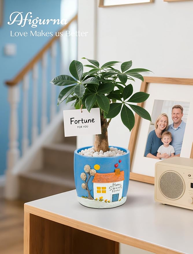 New Home Gift Ideas: New Home Apartment Plant Gift for Plant Lover - 5.3in Hand-Painted 3D Art Planter - Gardening House Warming Present for Christmas Rootora