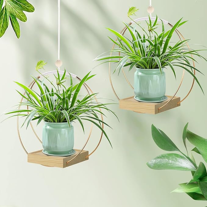 Hanging Planter for Indoor Plants, Plant Hanger with Sturdy Wood Base,Modern Boho Macrame Plant Hanger,Wall Ceiling Window Stands(Plants/Pots Not Included) hismocal