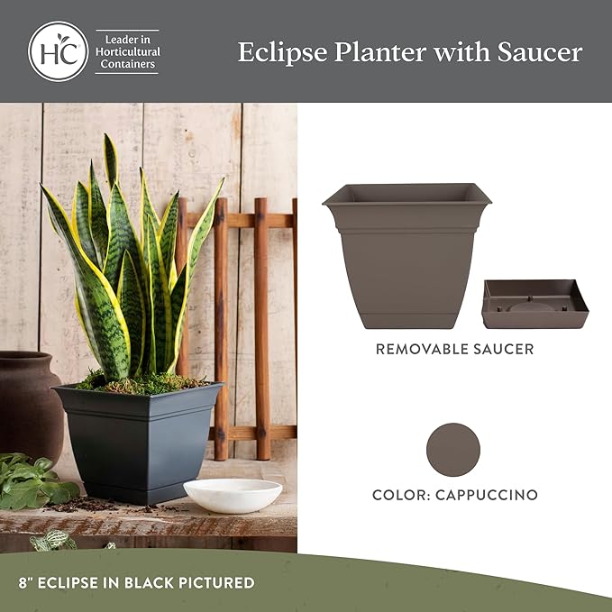 The HC Companies Eclipse Square Plastic Planter w/Attached Saucer - Outdoor & Indoor Plant Pot with Drainage Holes - Lightweight, UV-Resistant Plastic Pots for Plants (6" Cappuccino, Pack of 1) TheHCCompanies