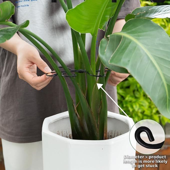 Black Monstera Plant Support Hook - 6.5 * 6.5IN -5 Piece Set, Durable Metal Stem Supports for Indoor Plants, Leaf Holder & Fishbone Cactus Stake, Stylish Design for Healthy Growth & Easy Care Yohsnor