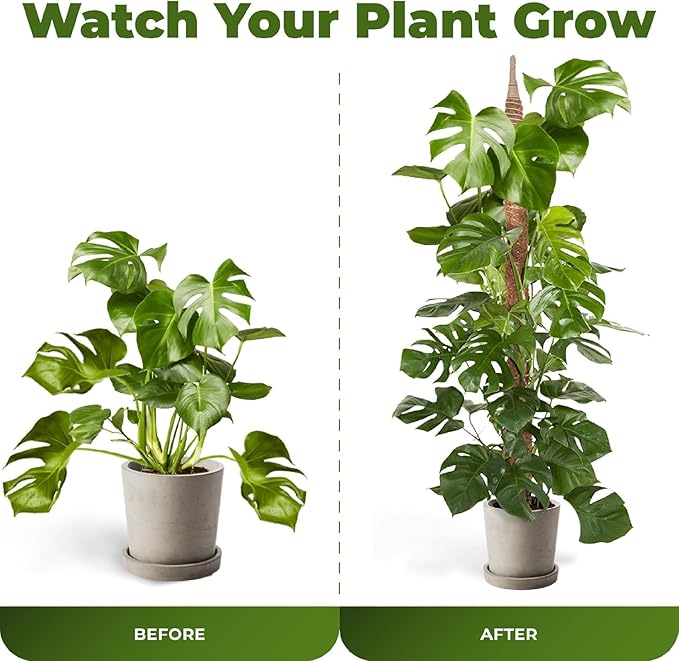 48 Inch Bendable Moss Pole Monstera Plant Support for Climbing Indoor Plants - Stakes for Potted Climbers - Tall Sticks Indoor Trellis for Houseplants - Accessories for Monstera Pot Sproot