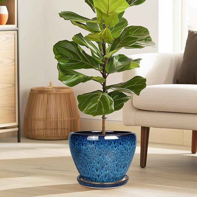 8 Inch Ceramic Plant Pot, Ceramic Planter Pot for Indoor Outdoor Plants, Round Flower Pot with Drainage Hole and Saucer, Blue Ceramicfor