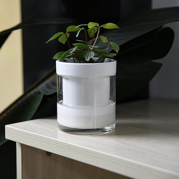Phoenix Vine 4 Inch Self Watering Planter, White Terracotta Clay Pot with Glass Reservoir for Indoor Plants, Herbs, Flowers, Set of 1, 52-B-E-1 Phoenix+Vine