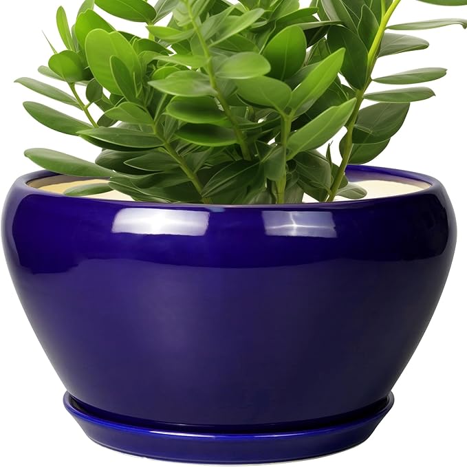 Ceramic Pot for Plants - 11 Inch Modern Round Indoor Planter with Drainage Hole and Planter Saucer for Flowers, Patio Office Home Room Decor, Gardening Gifts for Women & Men, Blue Ceramicfor