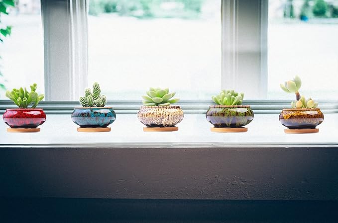Cute Ceramic Succulent Garden Pots, Planter with Drainage and Attached Saucer, Set of 5 -Plants Not Included (Burner) LamDawn