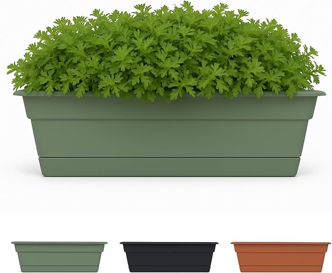 Bloem Dura Cotta 30" Basil Resin Rectangle Window Box Planter with Saucer Tray for Indoor and Outdoor Gardening Bloem