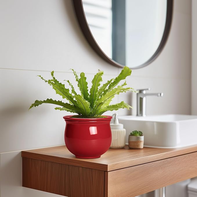 Ceramic Self Watering Planter, 6 Inch African Violet Pots with Absorbent Inner Pot, Round Self Watering Pots, Ceramic Flower Pot for Plants Indoor, Porch Decor, Plant Lover Gifts for Men, Red Teagas