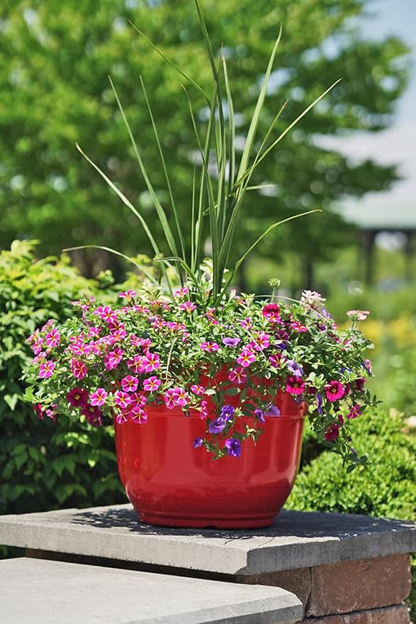 Garden Elements Indoor/Outdoor Glazed Brushed Happy Plastic Planter, Large, Bright Red, 15" (Pack of 2) GardenElements
