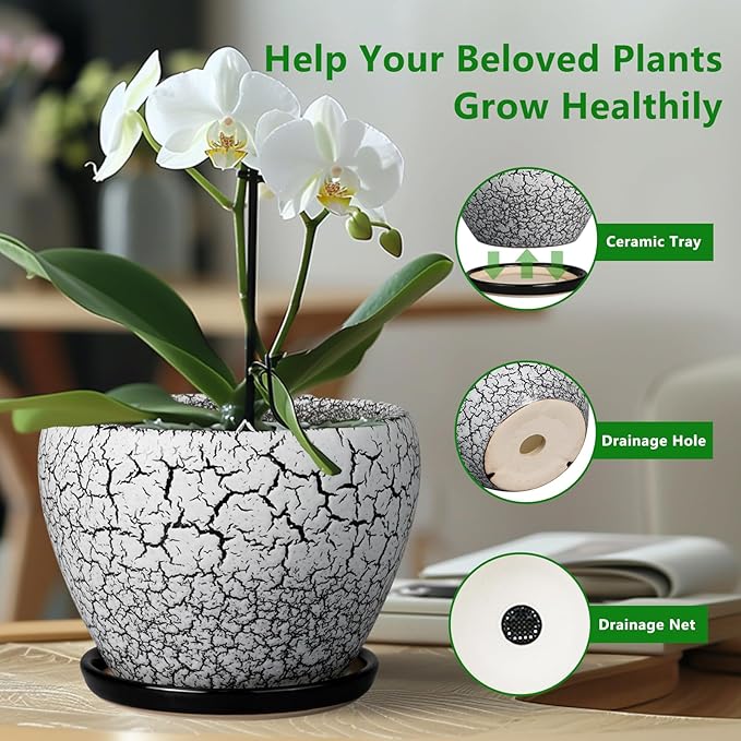 Ceramic Planters for Indoor Plants - 10 Inch Plant Pot with Drainage Hole and Saucer, Large Flower Pot for Home Decor, White/Black Ceramicfor