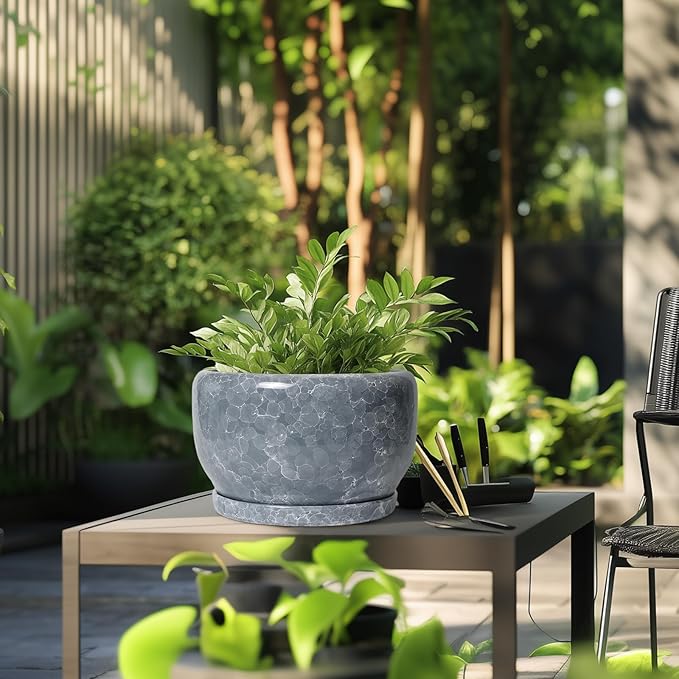 SQOWL Ceramic Pot for Plants - 10 Inch Plant Pot Indoor with Drainage Hole and Saucer, Round Ceramic Planter, Decorative Large Flower Pot Outdoor, Home Office Room Decor, Garden Gifts, Gray SQOWL