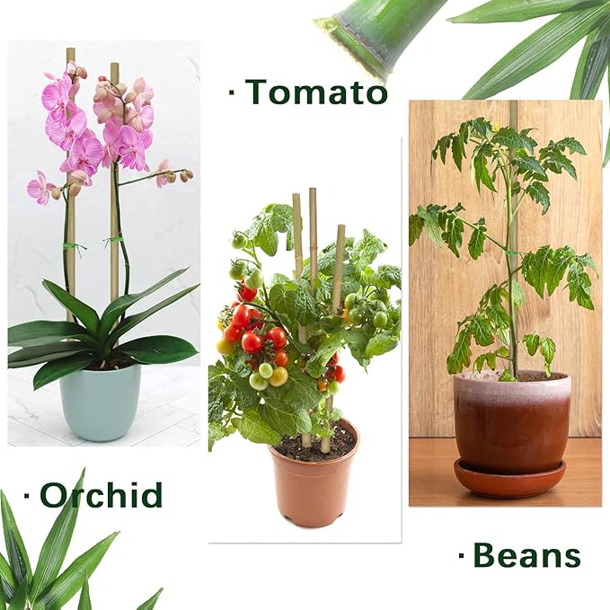 Plant Stakes,12 Inches Natural Garden Bamboo Sticks,BOVITRO 20Pcs Plant Support Stakes for Tomatoes,Beans,Vegetable and Potted Plants BOVITRO