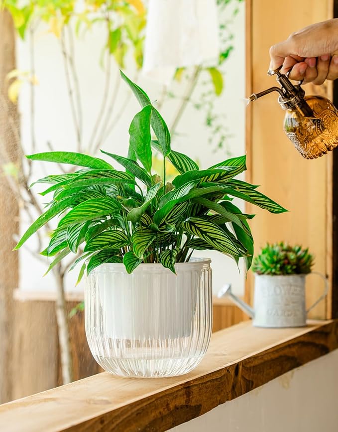 Melphoe Self Watering Pots for Indoor Plants Planter, 6.5 Inch 2 Pack Planters Self Watering Plant Pots for Flower, Houseplants, Succulent, African Violets and Cactus with Drainage Melphoe
