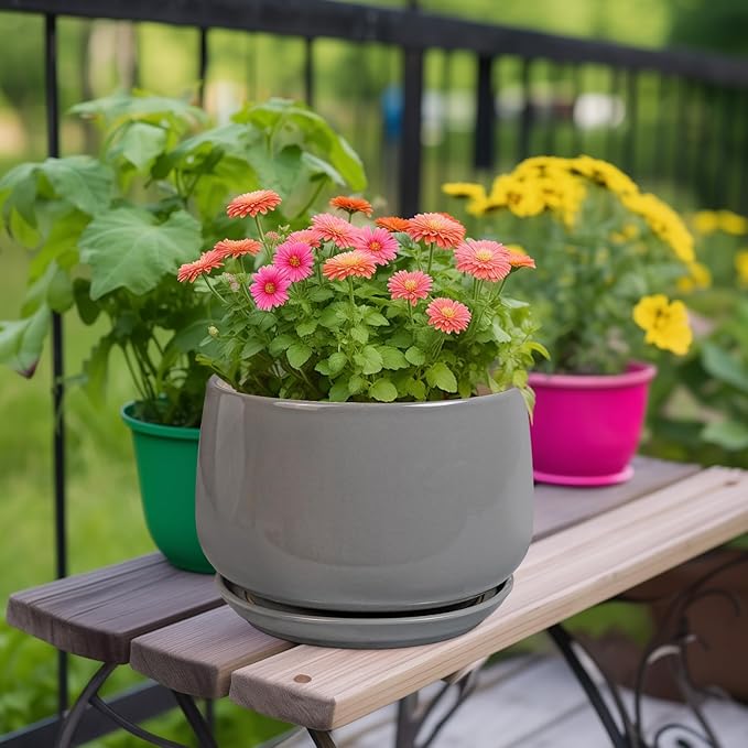 G EPGardening Ceramic Plant Pots - 9 Inch Modern Round Planter with Drainage and Plant Saucer for Indoor Outdoor Flower, Apartment Decor, Birthday Gifts, Grey GEPGardening