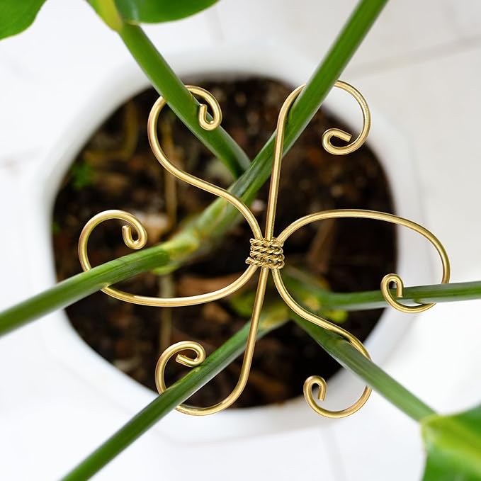 Durable Monstera Plant Support Hooks 5.5in - 5-Piece Set for Indoor Plant Stabilization, Easy-to-Use Grapple Holders for Monstera and Turtle Shell Plants for Plant Lovers Yohsnor
