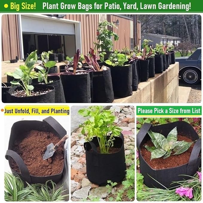 3-Pack 75 Gallon Thickened Plant Grow Bags Large (34x20 in) Heavy Duty Garden Bag Fabric Plant Pots for Tomato,Potato Planter,Herbs Veggies Planting,Flower Pots,Barrel Planter,Leaf Bag,Yard Waste Bags TespherCreationsforYardWorkLawnsCareandGardeningJobsOutdoorActivitiesRVCampingTrips