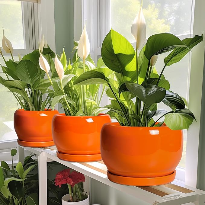 SQOWL Ceramic Pot for Plants - 8 Inch Plant Pot Indoor Outdoor, Modern Round Planter with Drainage Hole and Saucer, Decorative Planter for Flower, Office Decor, Garden Gifts for Women, Orange SQOWL