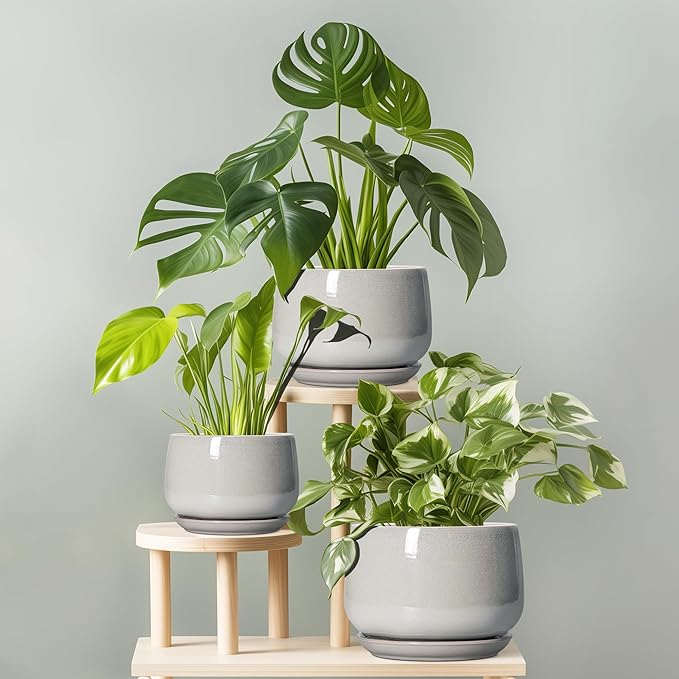 G EPGardening Ceramic Plant Pots - 7 Inch Plant Pot with Drainage and Saucer, Ceramic Planters for Indoor Outdoor Plants, Modern Round Planter, Room Decor, Gardening Gifts for Women Men, Light Grey GEPGardening