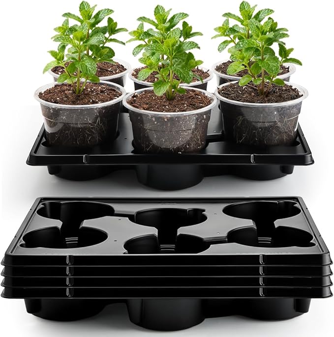 30 Pack 6 Inch Clear Nursery Pots and 5 Pack 6 Cell Round Plant Pot Trays, Sturdy Seeds Starting Germination Shuttle Carrying Trays, Planter Nursery Propagation 5 Sets RooTrimmer