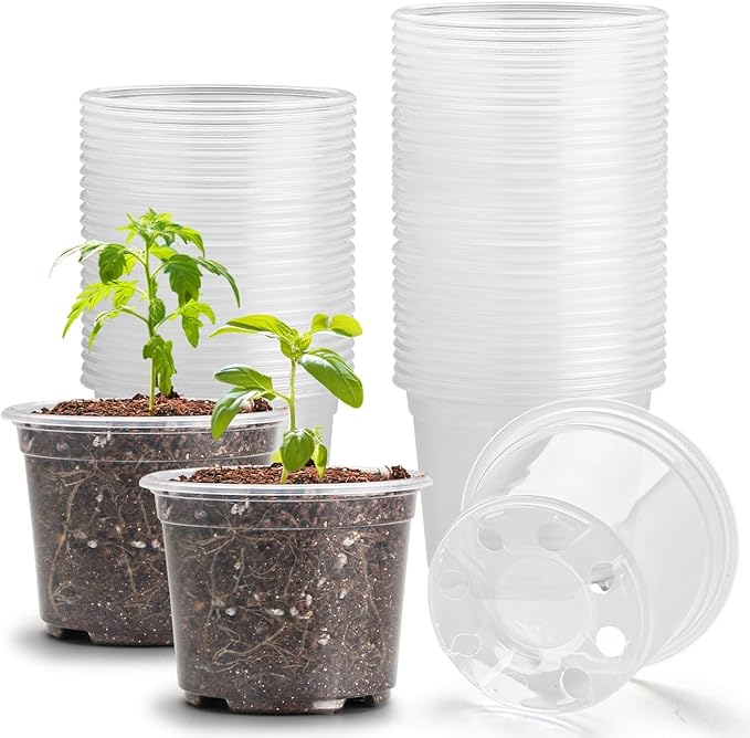 Clear Seedling pots 100-Pack 3.2 Inches Round for Seeds Starter Pots, Seeds Germination Transparent Clean Pots with Drainage Holes(100 Pcs, 3.14Inch) RooTrimmer
