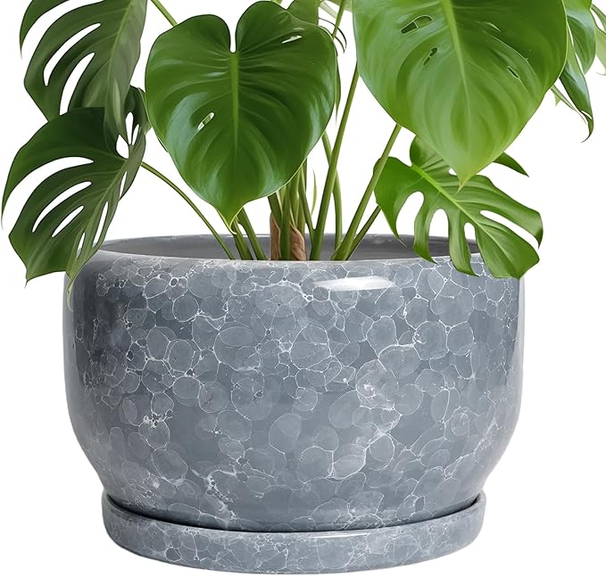 SQOWL Ceramic Pot for Plants - 10 Inch Plant Pot Indoor with Drainage Hole and Saucer, Round Ceramic Planter, Decorative Large Flower Pot Outdoor, Home Office Room Decor, Garden Gifts, Gray SQOWL