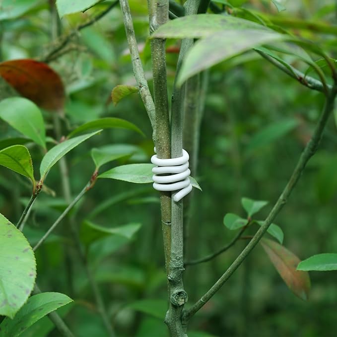 Decoroca Soft Plant Ties for Support - 65.6' Reusable Waterproof Plant Wire, Garden Twist, for Indoor & Outdoor Plants and Home Organizing（1pc/White） Decoroca