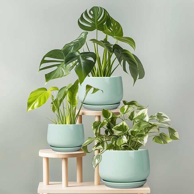 G EPGardening Ceramic Plant Pots - 6 Inch Pot for Plants, Ceramic Planter with Drainage and Saucer, Flower Indoor Outdoor Planter, Modern Bathroom Decor, Birthday Gifts, Green GEPGardening