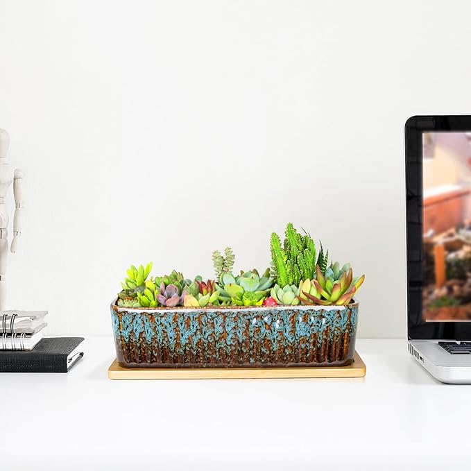 Succulent Pots - 12 Inch Large Succulent Planters with Drainage Tray, Window Sill Planter, Long Rectangle Ceramic Pots for Indoor Cactus Plants Shallow Bonsai Window Box for Home Garden Decor ARTKETTY