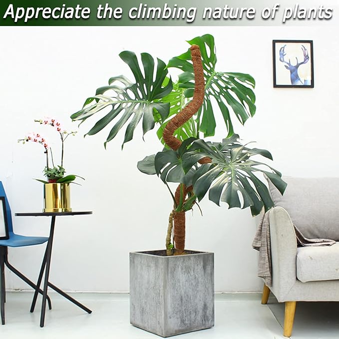 2 Pack Moss Pole, 28 Inch Bendable Moss Pole for Plants Monstera, Moss Poles for Climbing Plants Indoor, Coir Plant Pole Sticks Support Stakes for Potted Plant, Pothos, Philodendron Soupiar