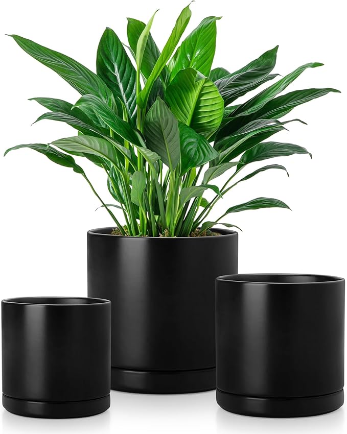 vancasso Ceramic Plant Pots, 3 Piece Planters for Indoor Plants, 4.25+5.25+6.25 Inch Flower Pots with Drainage, Plant Pots Indoor for Succulent, Pothos, Snake Plant and Money Tree, Etc (Black) vancasso