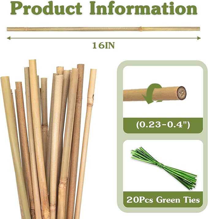 Plant Stakes 16inch, 20Pcs Natural Bamboo Sticks Garden Stakes, HAINANSTRY Plant Support Stakes for Indoor & Outdoor Plants, Orchid Tomato Vegetable Stakes for Garden HAINANSTRY