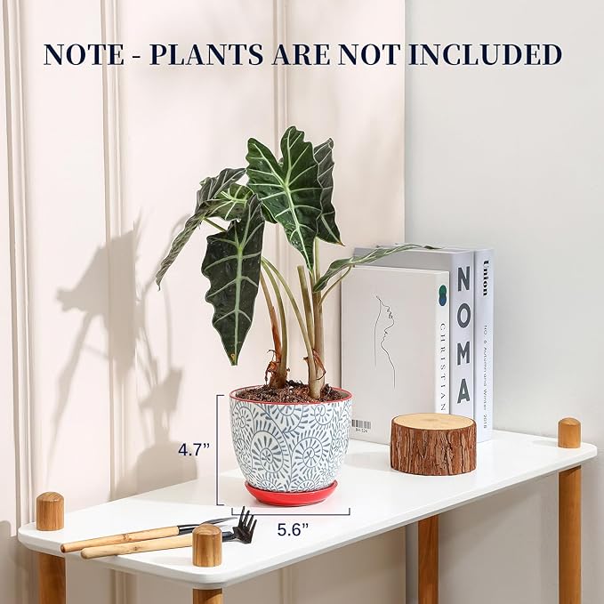 Selamica Ceramic Plant Pots, 5.6 Inch Flower Pots for Indoor Plants, Planters with Drainage Hole and Saucer, Garden Pots for Succulent, Orchid, Home Decor, Set of 4, Assorted Colors Selamica