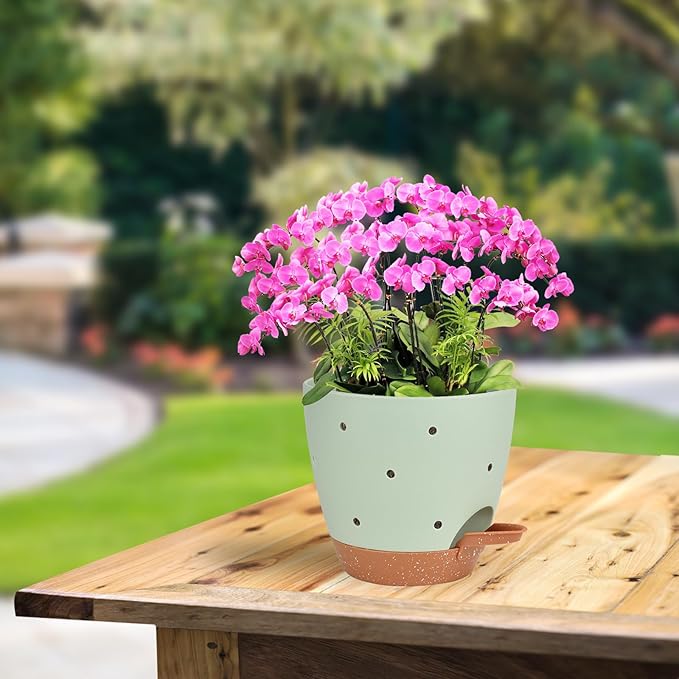 6 Inch Orchid Pots with Holes, 3 Pack Self Watering Planters for Orchids Plastic Orchid Pot Plant Flower Pots for Orchids Indoor Outdoor (Multicolor) Vanslogreen
