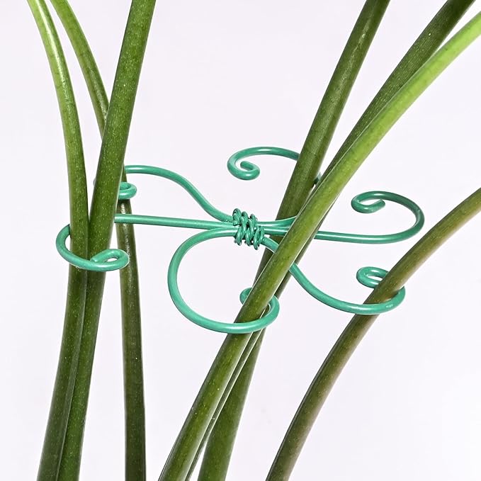 5PCS Monstera Plant Support Hook - 4.1 * 4.4IN, Durable Flexible Stabilizers for Indoor Plants, Metal Stem Supports and Leaf Holders, Easy Tool-Free Operation, Ideal for Fishbone Cactus Care Yohsnor