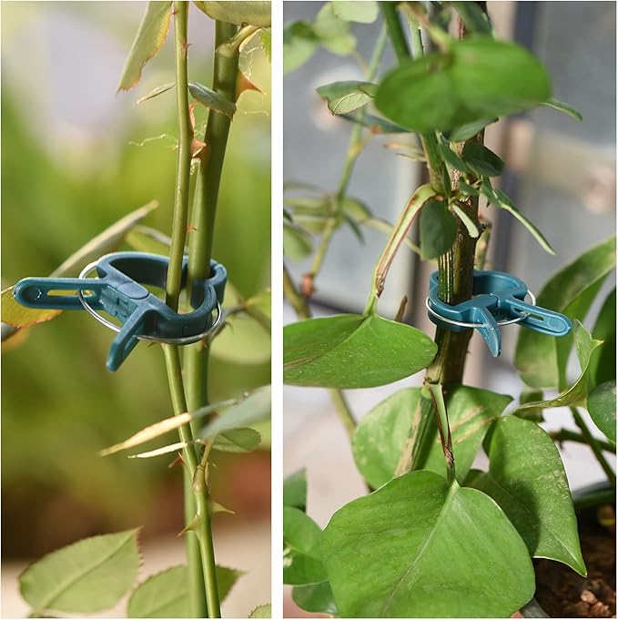 Plant Support Clips, 80 PCS Gentle Flower Plant Clamps for Supporting Vine Climbing Plants, Gardening Lever Loop Gripper Clips Help Stems Vines Grow Straight Upright, 2 Sizes in one Pack PERSZEN