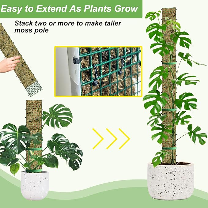 60"/40"/24" Metal Moss Pole, D Shape Sphagnum Moss Pole, Moss Poles for Climbing Plants, Monstera, Indoor Climbing Plants (1 Each of 60" 40" 24") HOLANHING