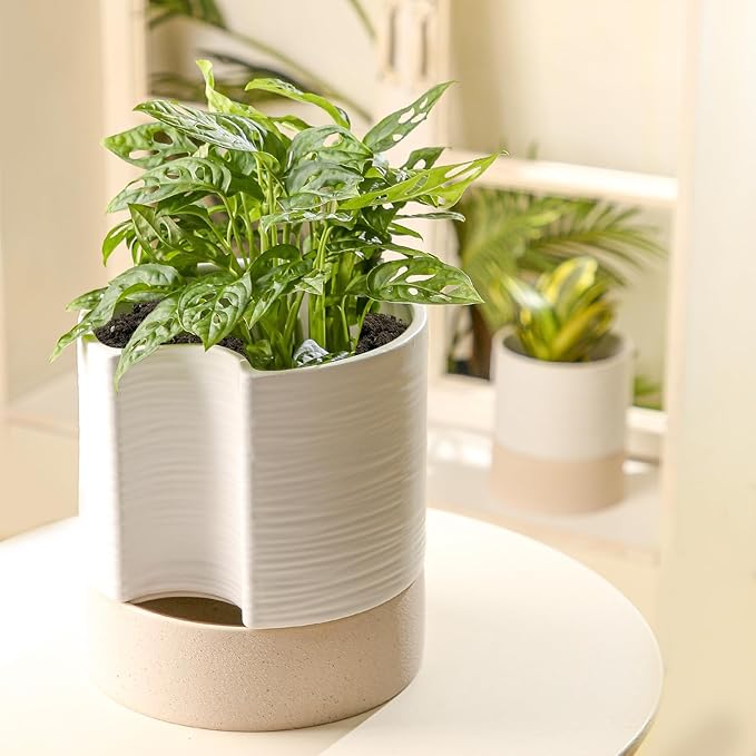 Nihow Self Watering Plant Pot: 8 Inch Ceramic Planter with Drainage Hole & Water Storage Plus for Indoor & Outdoor Plants - Cylinder Round Flower Pot for Succulent/Herbs/Violets - White & Brown Nihow