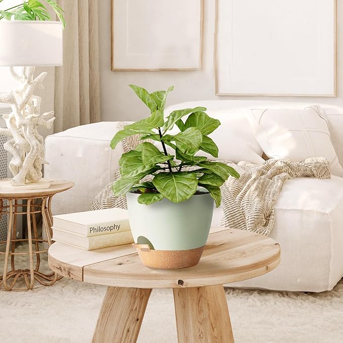 Self Watering Planter Pots Set of 5 - Green Plastic Indoor Pots with Drainage Holes, Saucers and Reservoir for Home Decor, Office Desk, Windowsill, Shelf (Gift Idea) SESUN-E