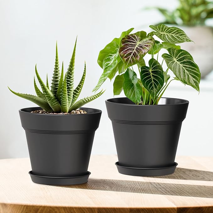 7 Inch Thick Plastic Plant Pots with Drainage Holes and Trays – 6 Pack Nursery Pots for Indoor & Outdoor House Plants, Seedling Starter Planters for Garden Flowers, Matte Black WSMKSZ