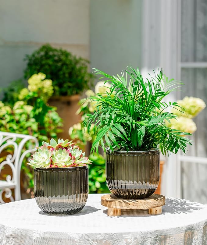 Melphoe Self Watering Pots for Indoor Plants Planter, 6.5 Inch 2 Pack Planters Self Watering Plant Pots for Flower, Houseplants, Succulent, African Violets and Cactus with Drainage Melphoe