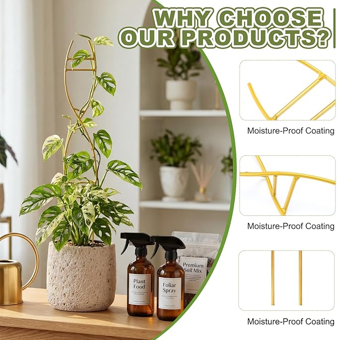 3 Pcs 15.75 Inch Indoor Plant Trellis for Potted Plants Small Climbing Plant Trellis for Pots with Unique DNA Spiral Design for Vine Plants, Easy Installation for Indoor Outdoor Use Rootora