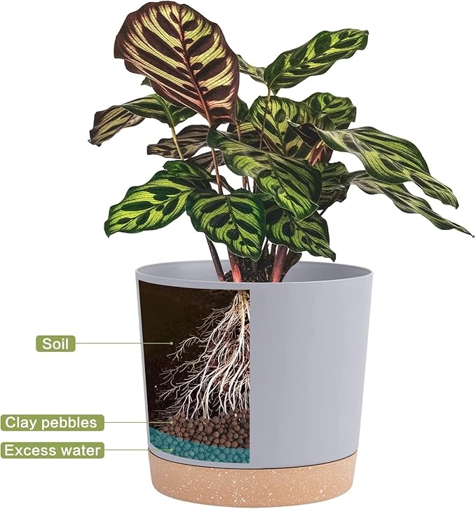 QCQHDU 8 inch Plant Pot, 2 Pack Planters for Indoor Plants with Drainage Holes & Saucer, Outdoor Flower Pots Home Garden Modern Decor QCQHDU