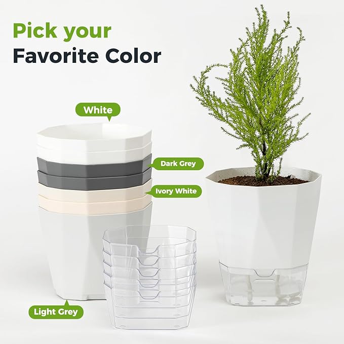 2 Pack Self Watering Plant Pots 8.4" Self Watering Planters for Indoor and Outdoor Plants African Violet Self Watering Clear Pots for Plants Large Herb Orchid Flower Houseplant Pots, Dark Grey Planterhoma
