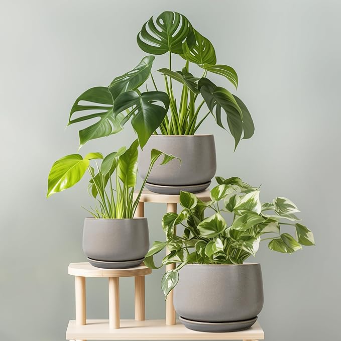 G EPGardening Ceramic Pots for Plants 7 Inch - Large Ceramic Planters for Indoor Plants Outdoor Modern Flower Pot with Drainage Holes and Saucer for Office Garden Patio Grey GEPGardening