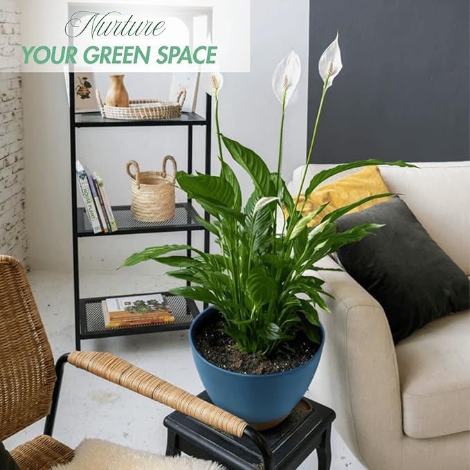 8/10/12 Inch Large Self Watering Pots for Indoor Plants Plastic Plant Pot for Outdoor Plants, Water Level Window & Spacious Reservoir Flower Pots Decorative Planter with Drainage and Tray (Blue) Montresor