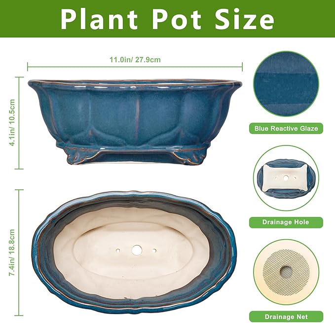 Bonsai Tree Pot - 11 Inch Ceramic Succulent Pots, Bonsai Planter for Indoor Outdoor, Decorative Plant Pot with Drainage Hole, Oval Flower Pot, Home Garden Decor, Garden Gifts, Retro Blue Teagas