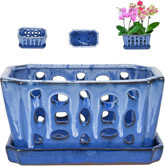 W&W Orchid Pot with Holes and Saucer for Repotting, White and Blue, 9.7 Inch WWHomeDecor