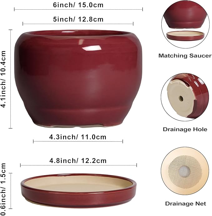 SQOWL 6 Inch Plant Pot - Ceramic Planter for Indoor Plants Outdoor, Round Planter with Drainage Hole and Saucer, Decorative Modern Small Flower Pots, Room Decor, Gifts for Plant Lovers, Red SQOWL