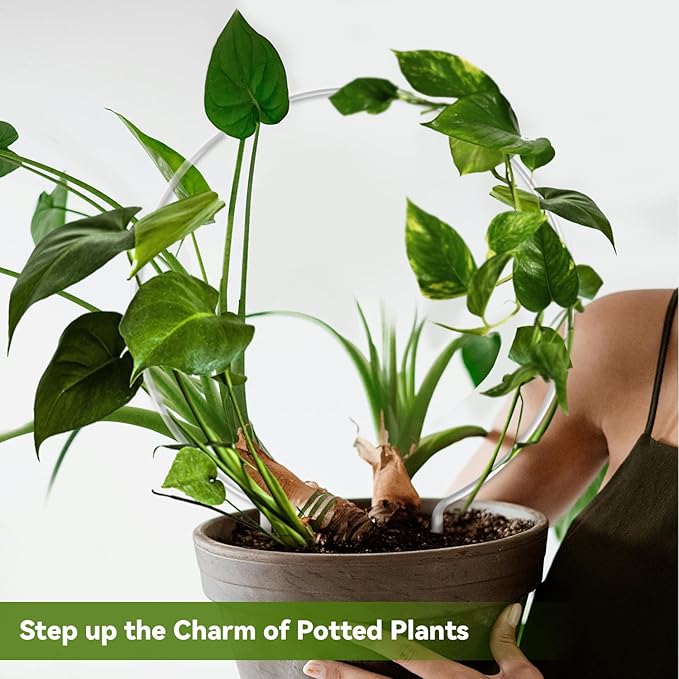 2 Pack Round Plant Trellis for Potted Plants Indoor Outdoor, Acrylic Small Trellis for Climbing Plants, Plant Support for Hoya Pothos Vine Ivy Monstera Flower Philodendrons Dischidia Rootora